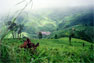 Mountain area in northern Thailand