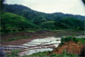 Rice ledges in northern Thailand