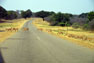 A herd of antelopes crossing the road in Hwange National Park