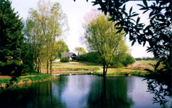 The house in Rynkeby seen from the field